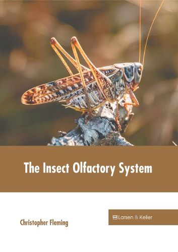 Cover image for The Insect Olfactory System