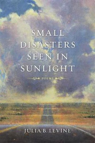 Cover image for Small Disasters Seen in Sunlight: Poems