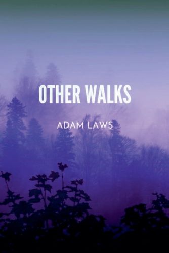 Cover image for Other Walks