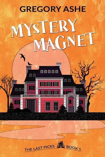 Cover image for Mystery Magnet