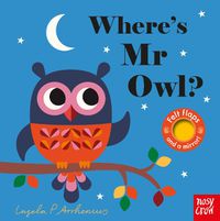 Cover image for Where's Mr Owl?