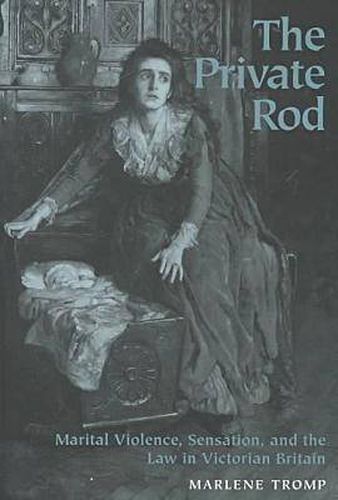 Cover image for The Private Rod: Marital Violence, Sensation and the Law in Victorian Britain
