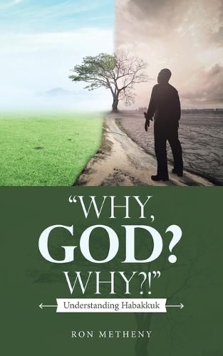 Cover image for "Why, God? Why?!"