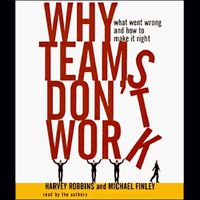 Cover image for Why Teams Don't Work: What Went Wrong and How to Make It Right