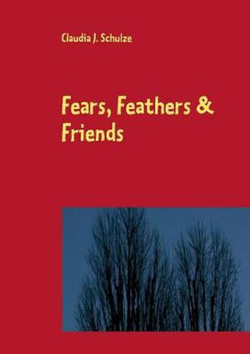 Cover image for Fears, Feathers & Friends