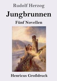 Cover image for Jungbrunnen (Grossdruck): Funf Novellen