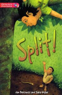 Cover image for Literacy World Comets Stage 2 Novel  Split