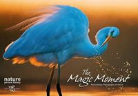 Cover image for Magic Moment: Extraordinary Photographs of Nature