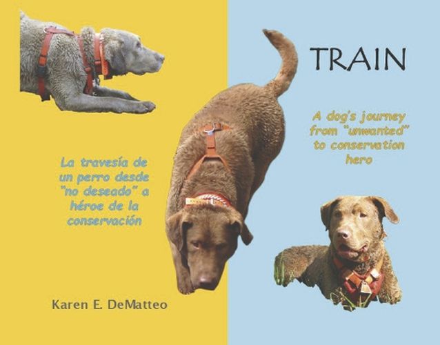 Cover image for Train - A dog's journey's from 'unwanted' to conservation hero