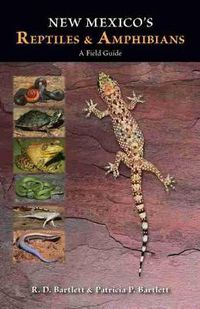 Cover image for New Mexico's Reptiles and Amphibians: A Field Guide