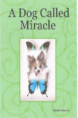 Cover image for A Dog Called Miracle