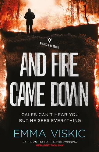 Cover image for And Fire Came Down