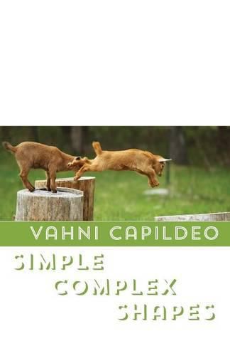 Cover image for Simple Complex Shapes