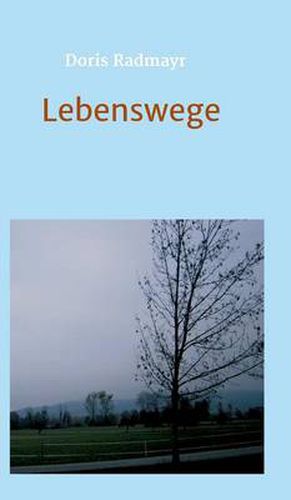 Cover image for Lebenswege