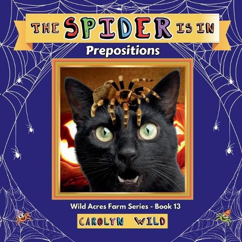 Cover image for The Spider Is In