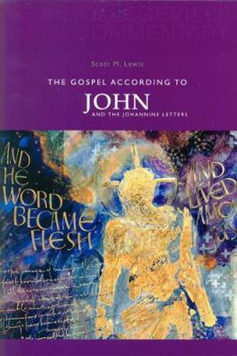 Cover image for The Gospel According to John and the Johannine Letters: Volume 4