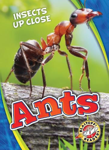 Cover image for Ants