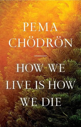 Cover image for How We Live Is How We Die