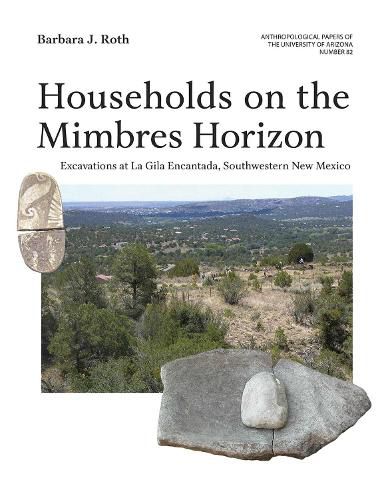 Cover image for Households on the Mimbres Horizon, Volume 82