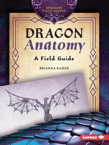 Cover image for Dragon Anatomy