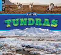 Cover image for Tundras