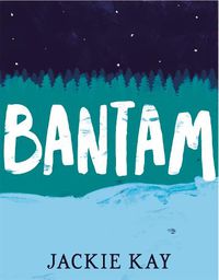 Cover image for Bantam