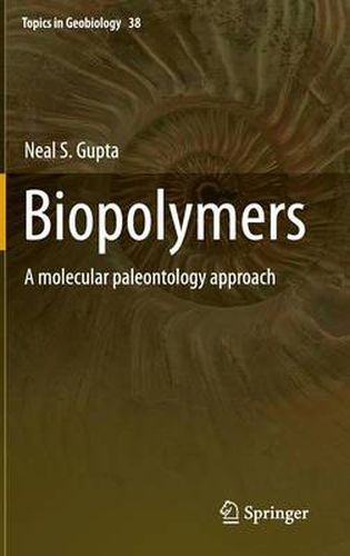 Cover image for Biopolymers: A molecular paleontology approach