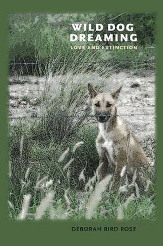 Wild Dog Dreaming: Love and Extinction