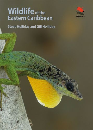 Cover image for Wildlife of the Eastern Caribbean