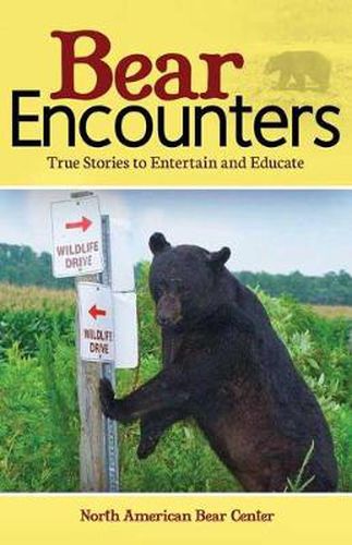 Cover image for Bear Encounters: True Stories to Entertain and Educate