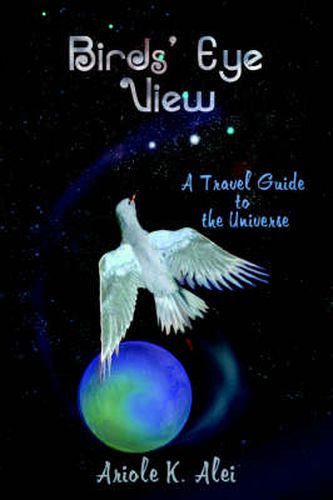 Cover image for Birds' Eye View - A Travel Guide to the Universe