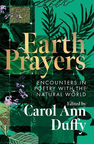 Cover image for Earth Prayers