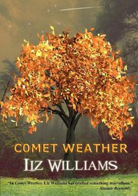 Cover image for Comet Weather