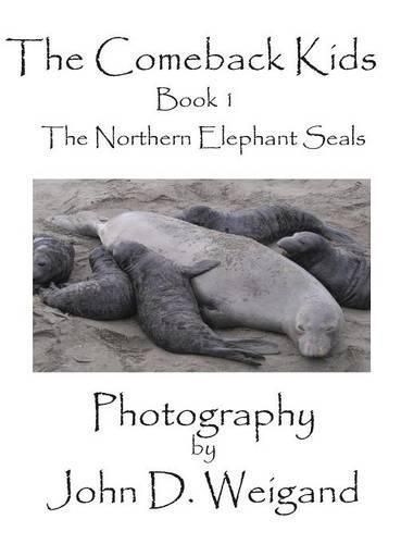 Cover image for the Comeback Kids  Book 1, the Northern Elephant Seals