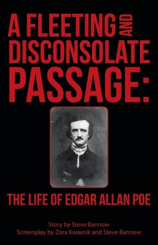 Cover image for A Fleeting and Disconsolate Passage