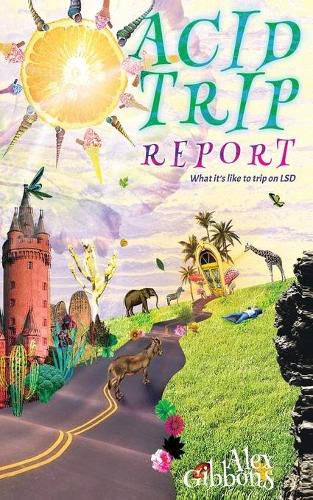 Cover image for Acid Trip Report - What it's like to trip on LSD