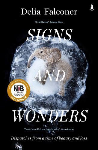 Cover image for Signs and Wonders: Dispatches from a Time of Beauty and Loss