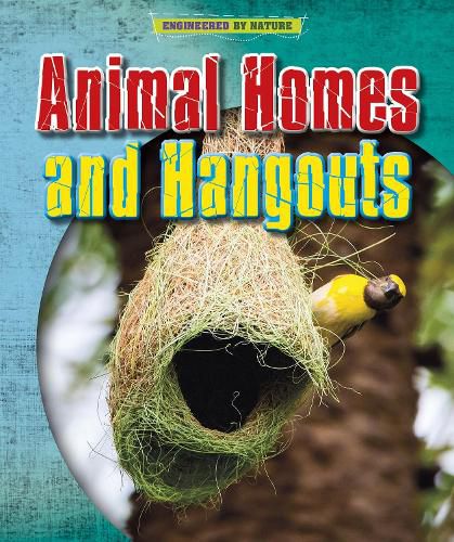 Cover image for Animal Homes and Hang-outs