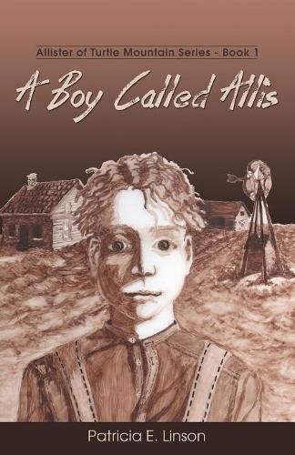 Cover image for A Boy Called Allis: Allister of Turtle Mountain Series