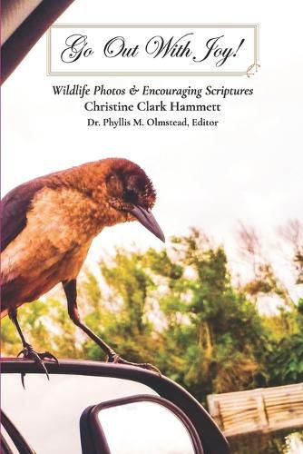 Cover image for Go Out With Joy!