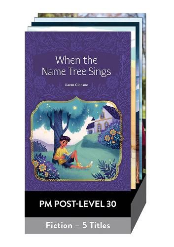 Cover image for PM Post-Level 30 Fiction Pack x 5