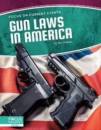 Cover image for Gun Laws in America