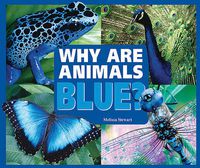 Cover image for Why are Animals Blue?