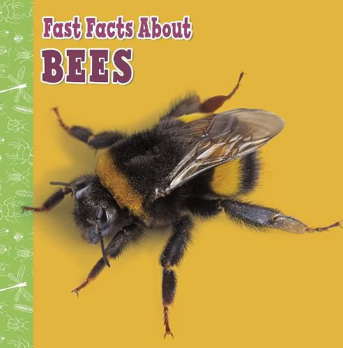 Cover image for Fast Facts About Bees