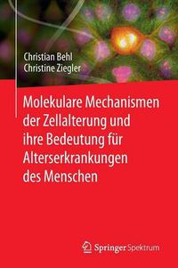 Cover image for Molekulare Mechanismen der Zellalterung und ihre Bedeutung fur Alterserkrankungen des Menschen