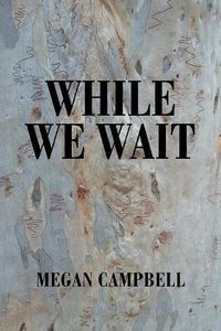 Cover image for While We Wait