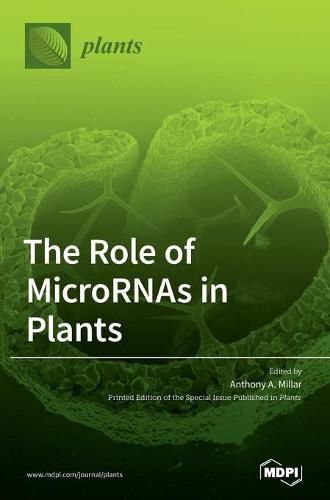 Cover image for The Role of MicroRNAs in Plants