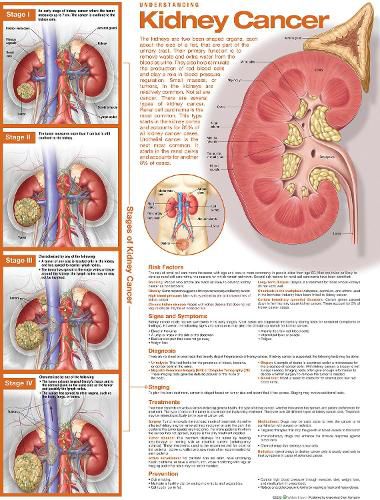 Cover image for Understanding Kidney Cancer Anatomical Chart