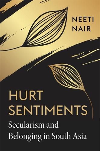 Cover image for Hurt Sentiments: Secularism and Belonging in South Asia