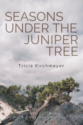 Cover image for Seasons Under the Juniper Tree: A Daily Devotional